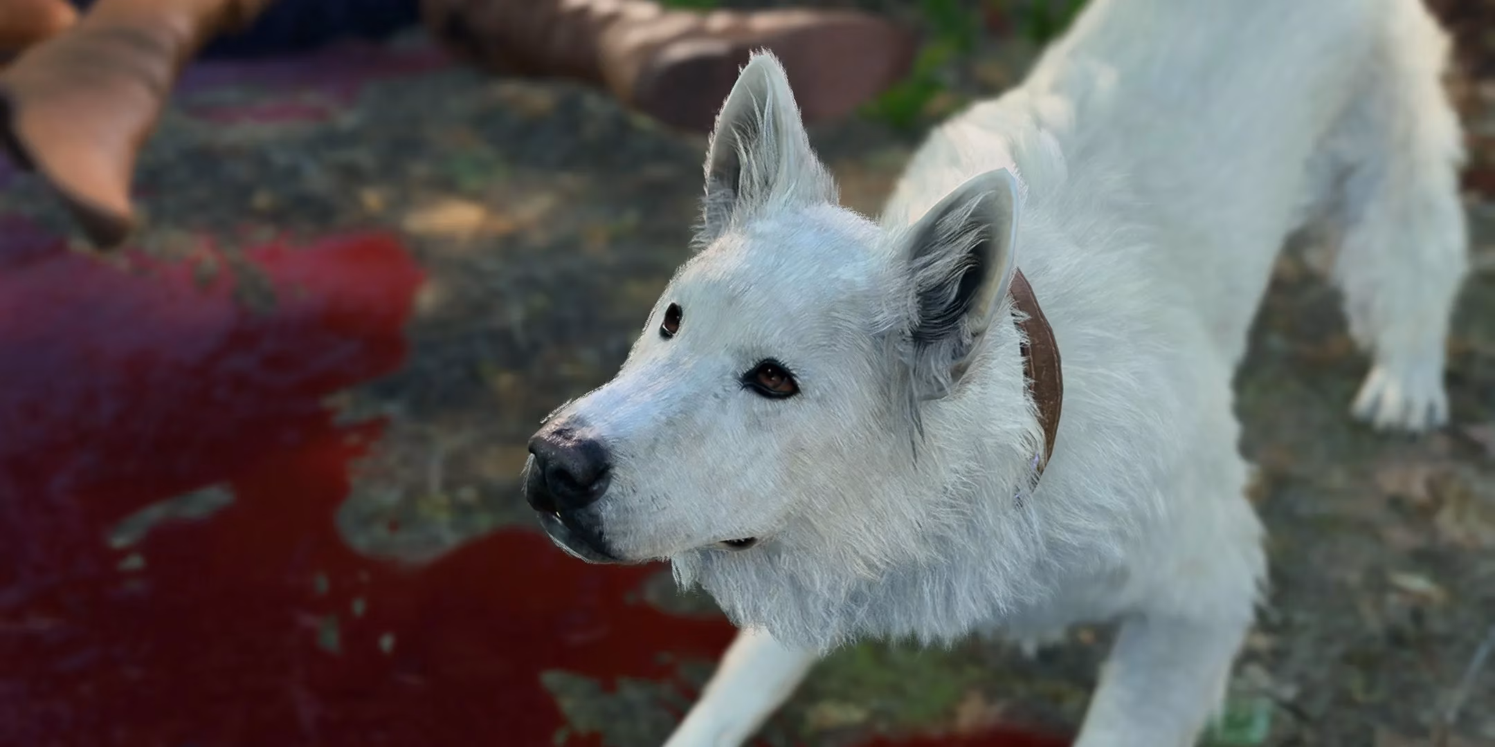 scratch-s-secret-stash-my-incredible-discovery-of-turning-the-goodest-boy-into-a-mobile-anti-magic-bomb-in-2026-image-0