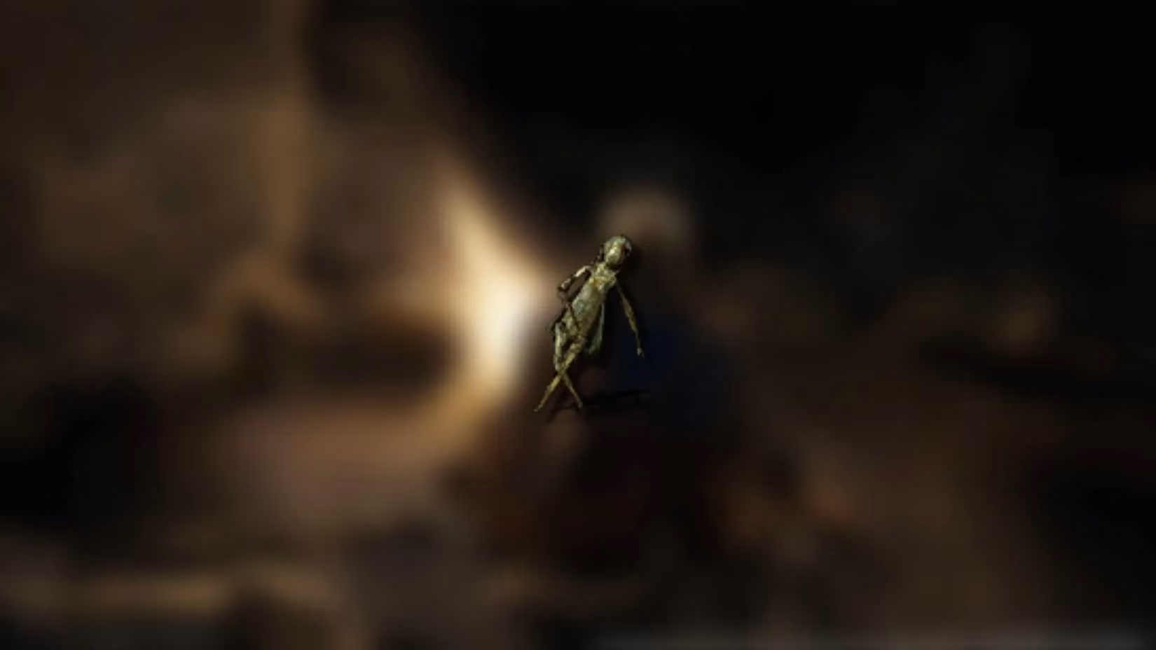 whispers-in-the-inventory-unearthing-soulsborne-lore-through-forgotten-trinkets-image-0